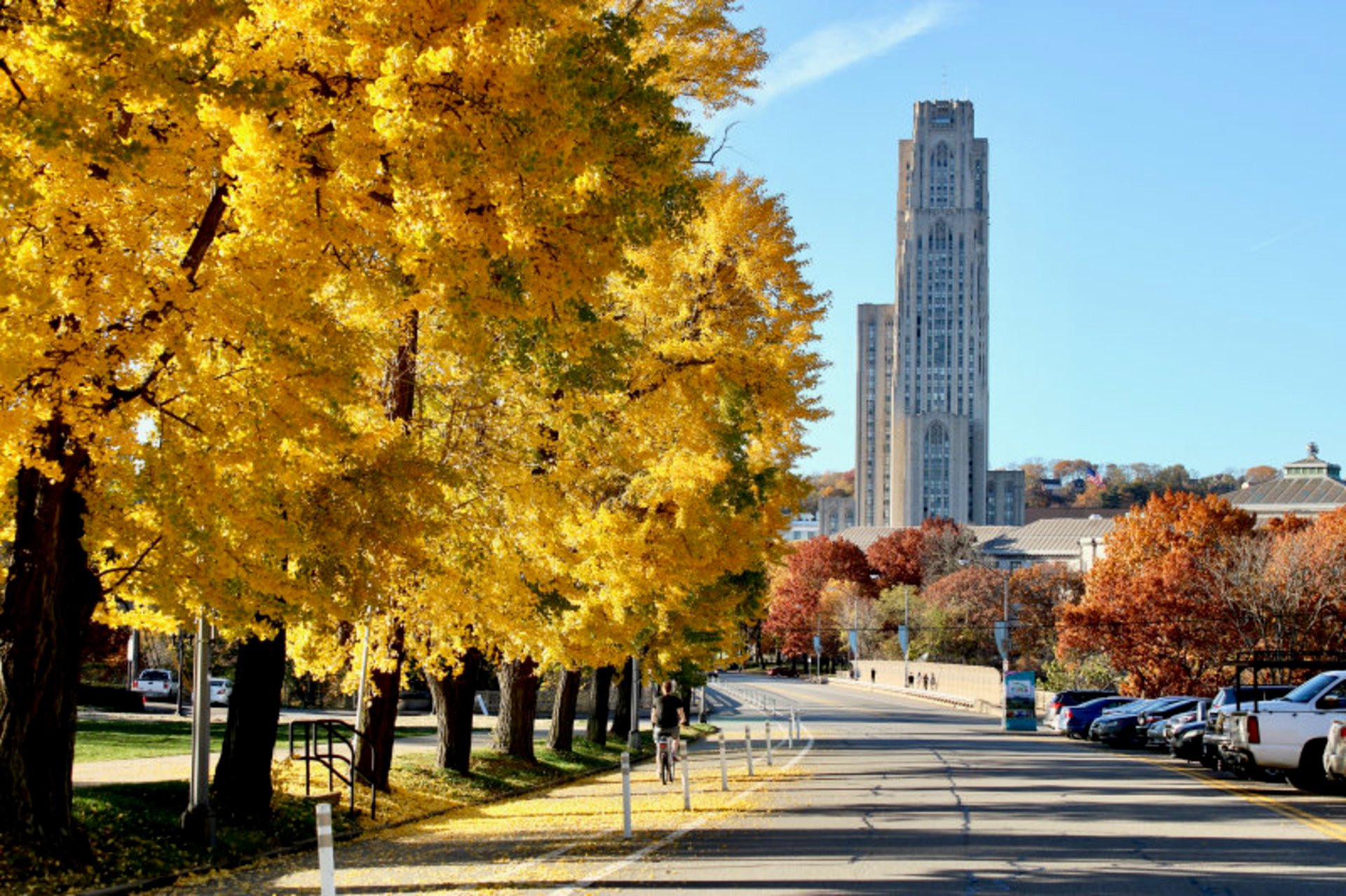 pittsburgh-fall-foliage